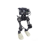 Biped Humanoid Robot Development Platform-LSF830