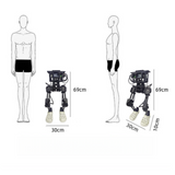 Biped Humanoid Robot Development Platform-LSF830